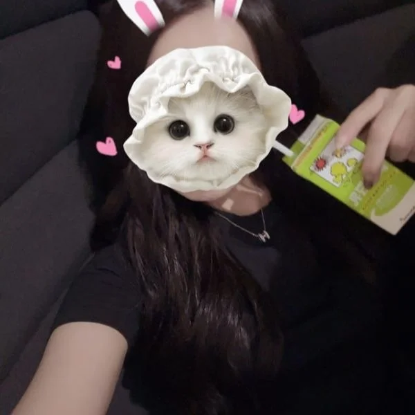 ありがとうございました(*´꒳`*)