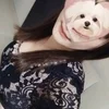 三上