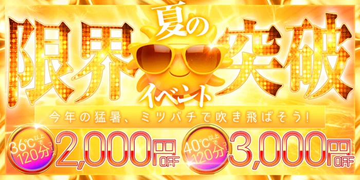 MITSUBACHI-ミツバチ-