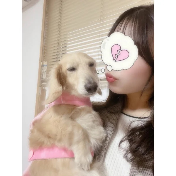 この後🈵🙇‍♀️