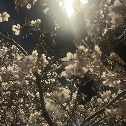 菜美 Mrs.Grace Spa