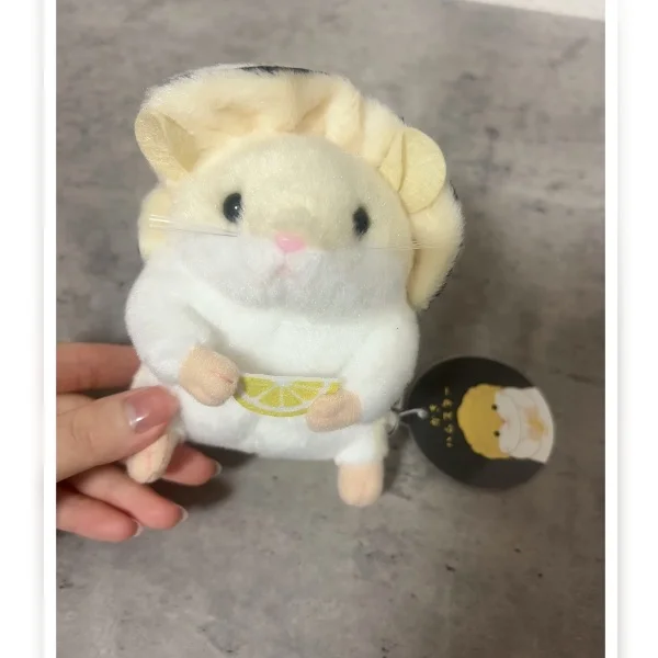お礼🕊️