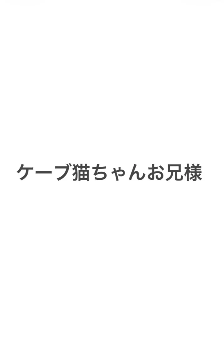 ケーブ猫ちゃんお兄様ありがとうございました🎀