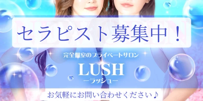 LUSH-[ラッシュ]-の求人募集イメージ2