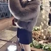 ななせ