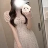 七色すみれ