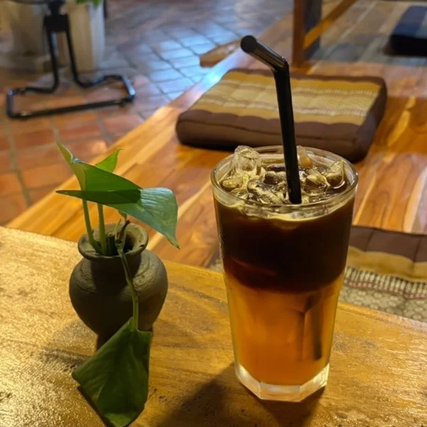 本日14時から🎶