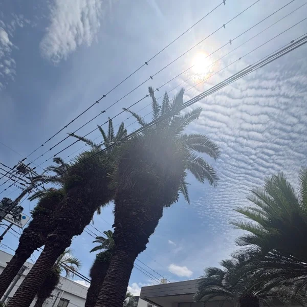 宮崎あと何回