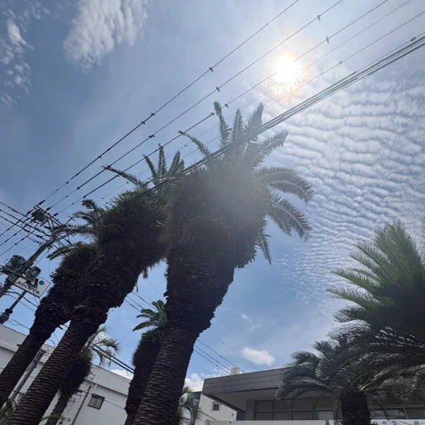 7月