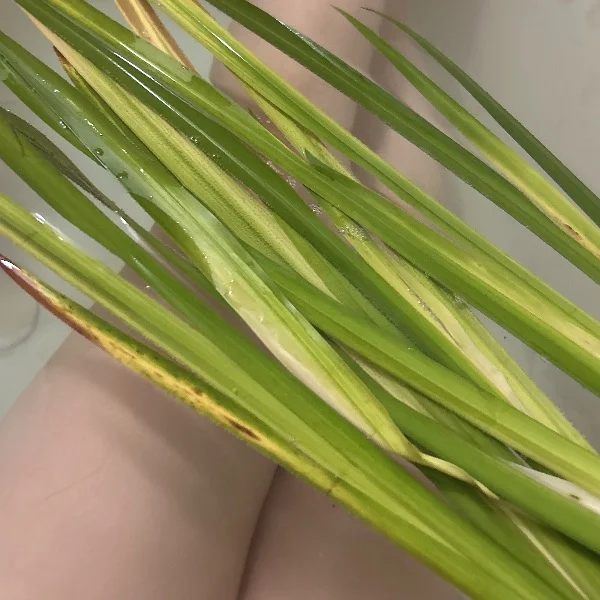 久喜ルーム✨