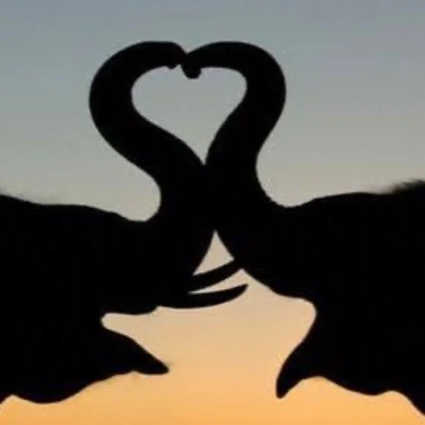 ありがとうございます✨