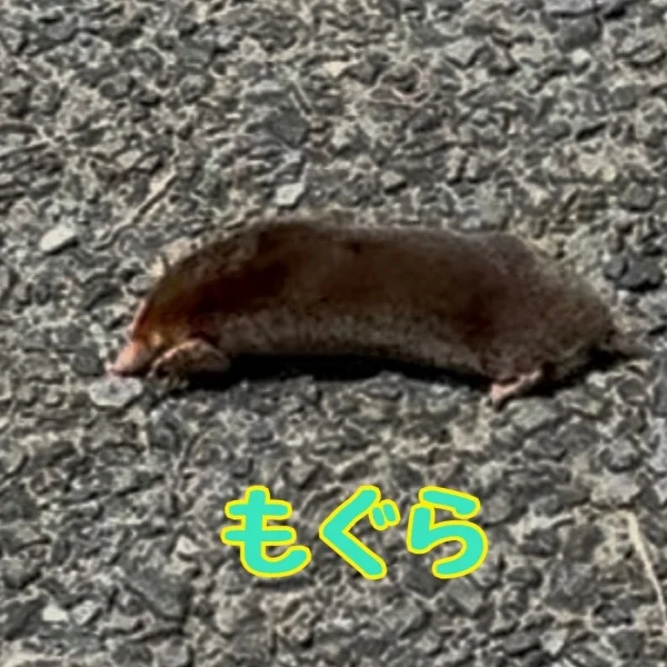 お疲れさまです❤