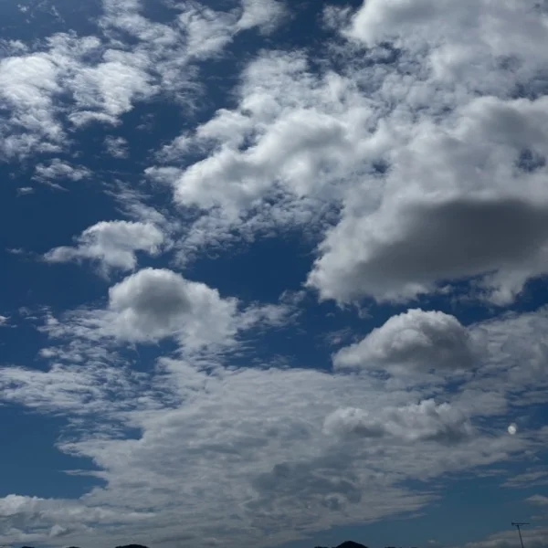 ⭐️日曜日は…ありがとうございます⭐️