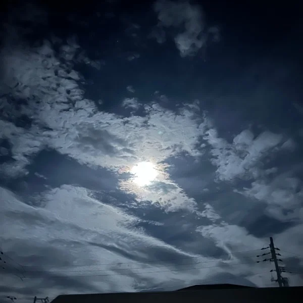 デイトスNくん😇