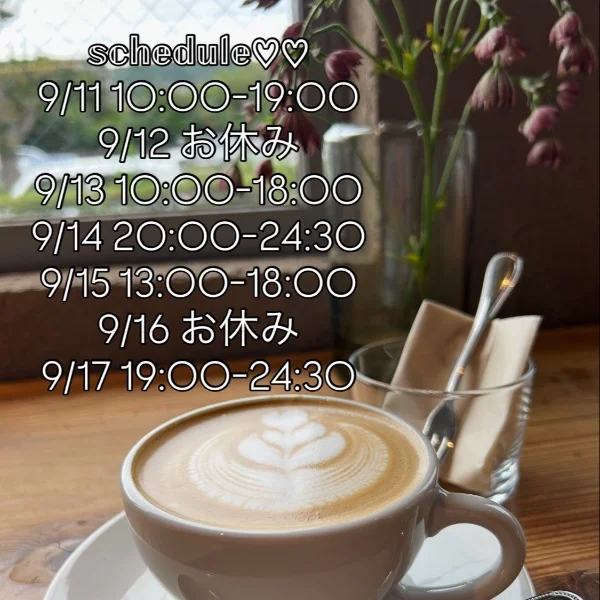 9/11-9/17までのスケジュール