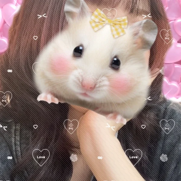 一緒にひとやすみ🩵