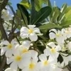 至福の時間へ。超一流のセラピスト紹介