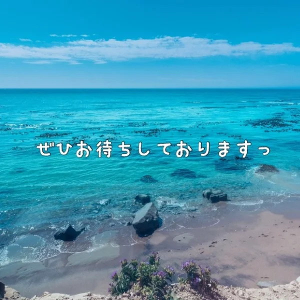 本日も11:00からっ！！