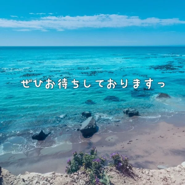 本日11:00から🫶🏻