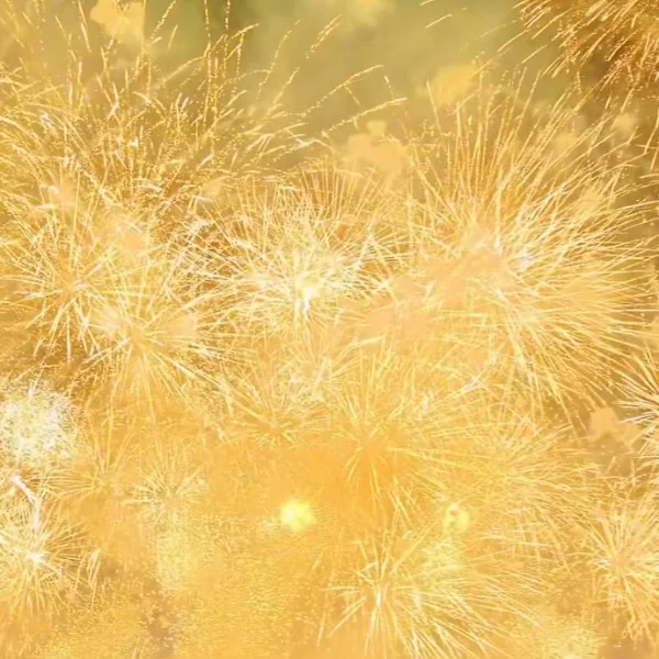 N様ありがとうございました!