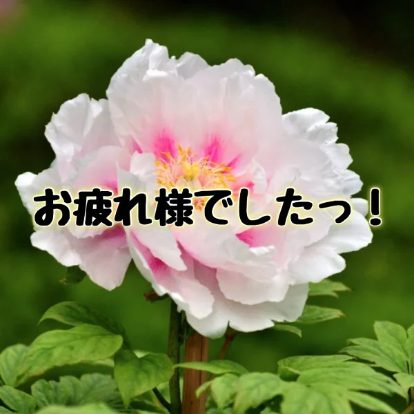 退勤しまーす🫧