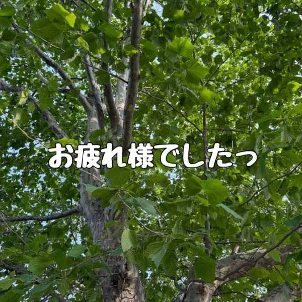 退勤しまーす！