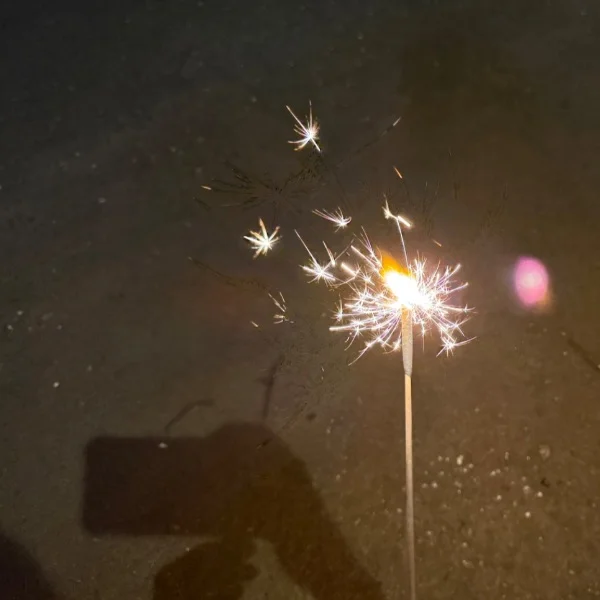 本日11:00からっ！！