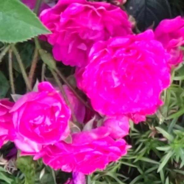退勤しました🌹