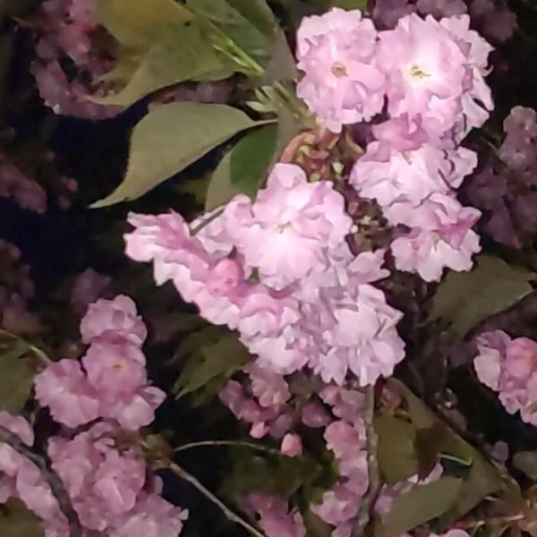 退勤しました🌸