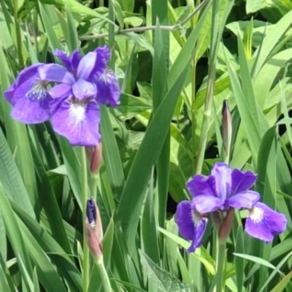 退勤しました🍀