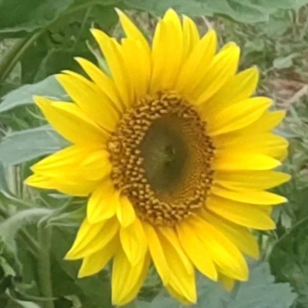 退勤しました🌻