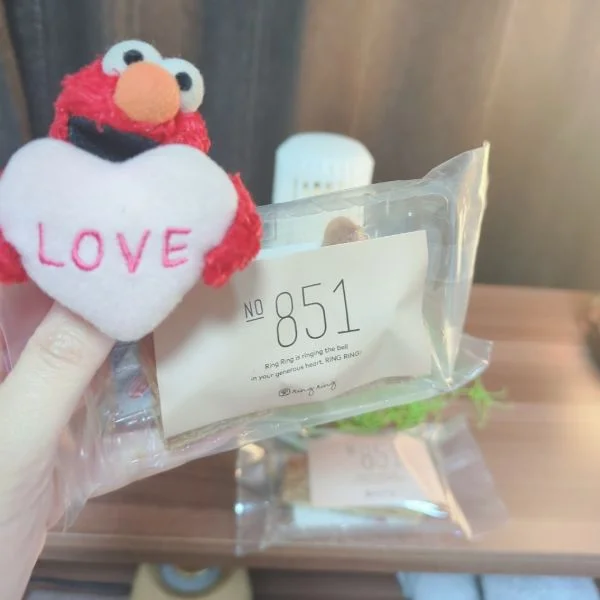 本日もありがとうございました🐬