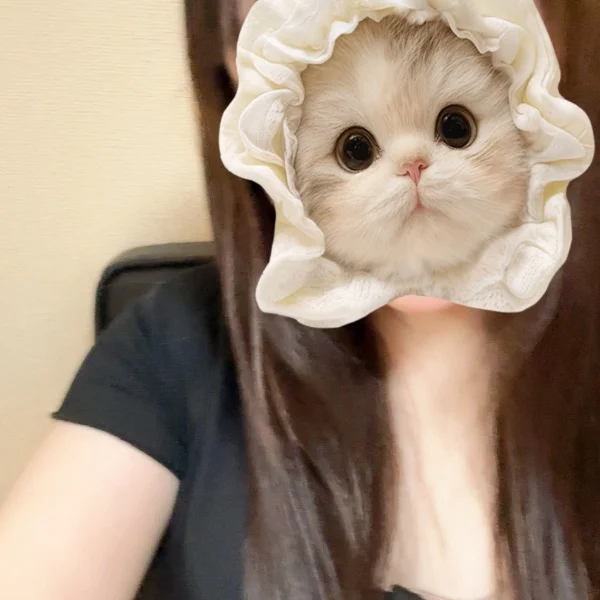 本日16時から出勤します！