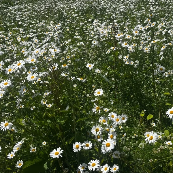 🌸21時から…♡🌸