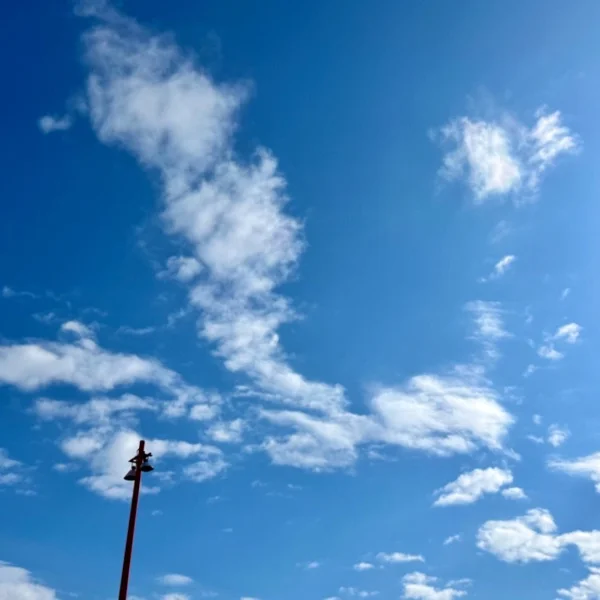 ねむねむ(  ˊ꒳ˋ ) ᐝ