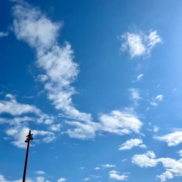 朝です🔆｡°
