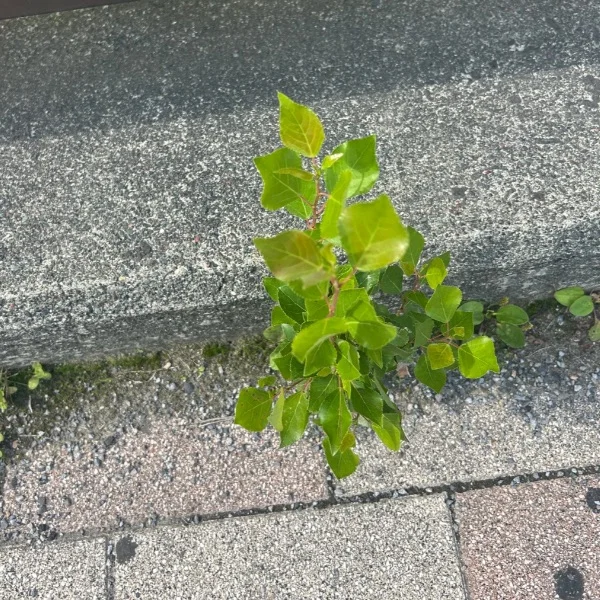 本日はありがとうございました♪