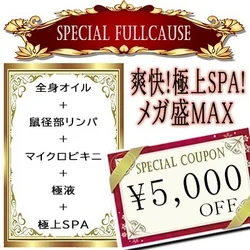 【5,000円OFF】極上SPA！メガ...