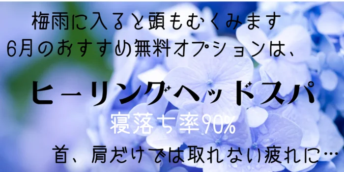昼顔
