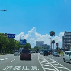 ✨おはようございます✨
