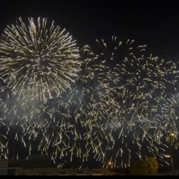 花火🎆