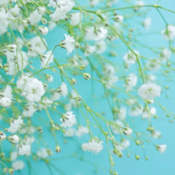 少しでも和らぎますように🙏