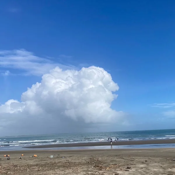 夏らしいこと、しましたか？