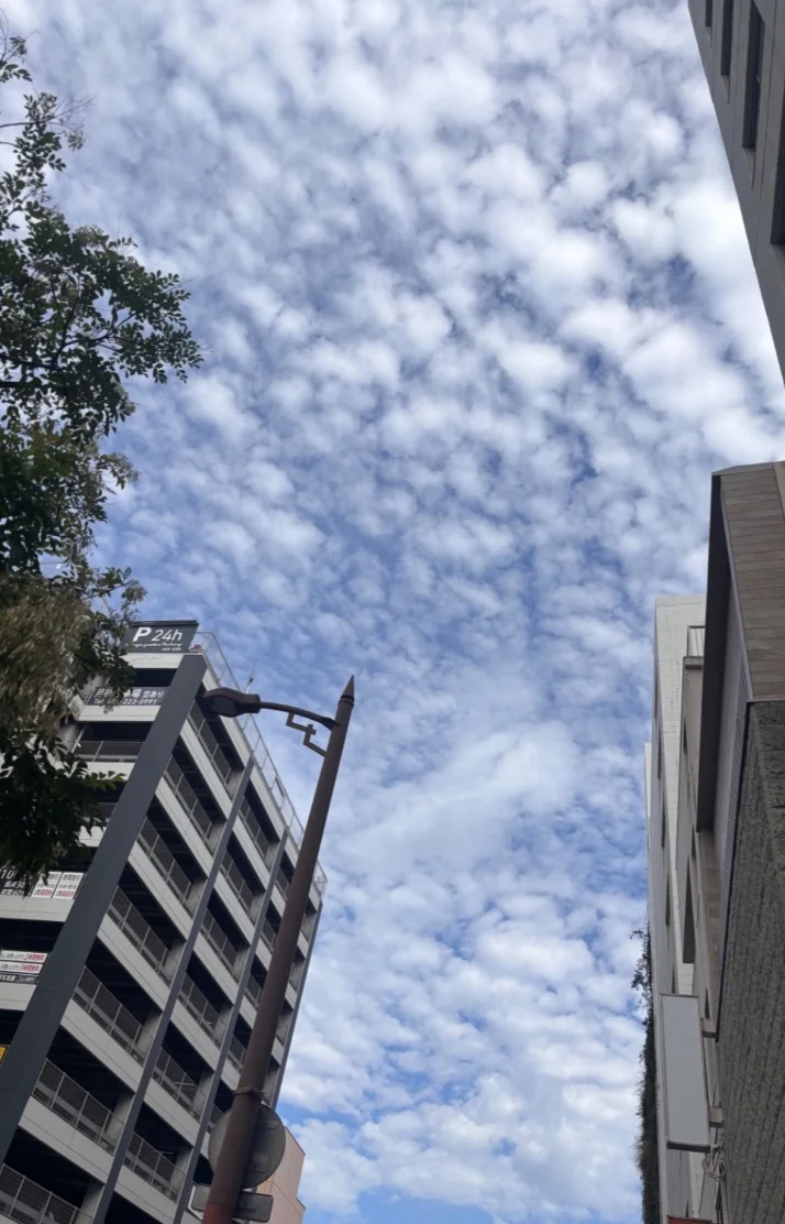おはようございます☀️｡°