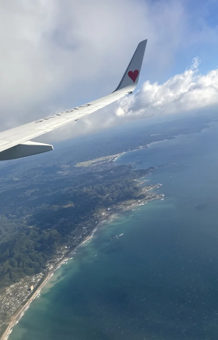 帰ってきました✨