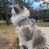 ✧新人スタッフ O です✧のサムネイル