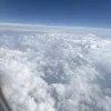 アンケート結果のサムネイル