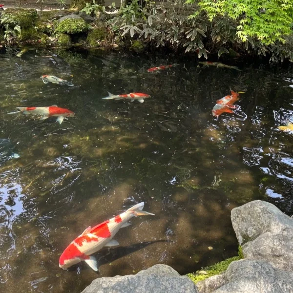 おはようございます☀️