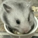 採用担当のMIYAさん