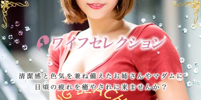 ワイフセレクションの求人募集イメージ2
